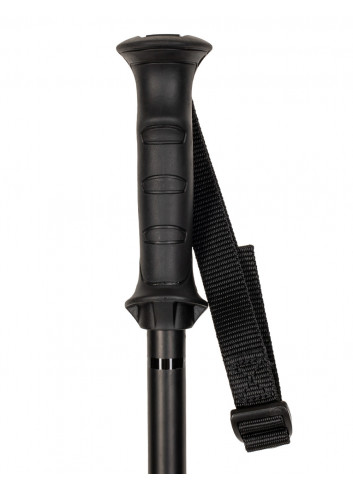 Kije narciarskie Salomon ARCTIC black