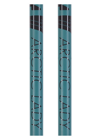 Kije narciarskie Salomon ARCTIC Lady grey/green