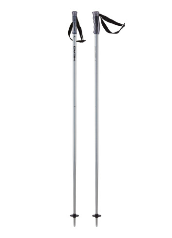 Kije narciarskie HEAD MULTI brushed aluminium black