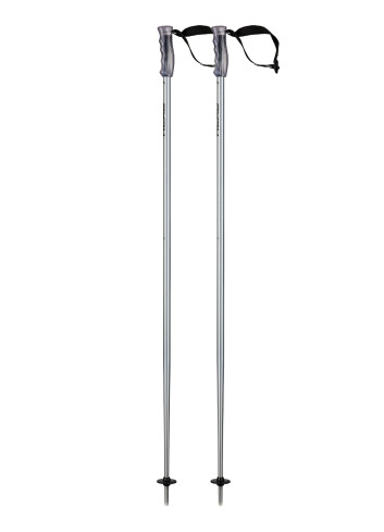 Kije narciarskie HEAD MULTI brushed aluminium black
