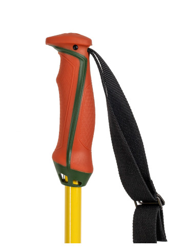 Kije narciarskie VÖLKL PHANTASTICK 2 green