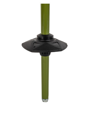 Kije narciarskie VÖLKL PHANTASTICK 2 green