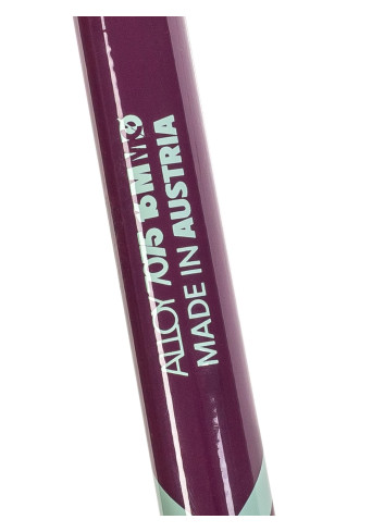 Kije narciarskie VÖLKL PHANTASTICK 2 red