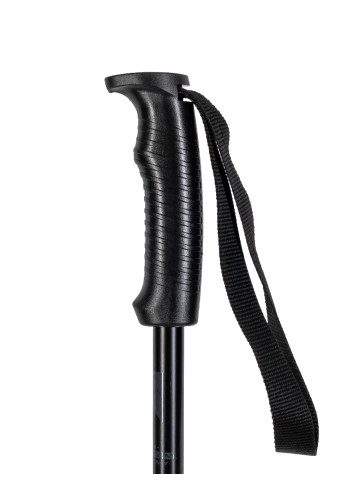 Kije narciarskie ELAN HOTROD black