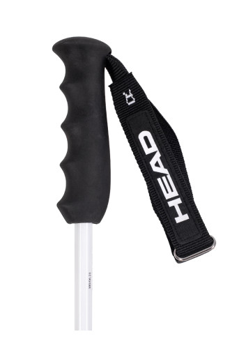 Kije narciarskie HEAD WORLDCUP REBELS CARBON