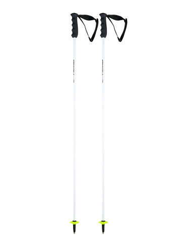 Kije narciarskie HEAD WORLDCUP REBELS CARBON