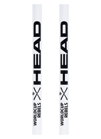 Kije narciarskie HEAD WORLDCUP REBELS CARBON
