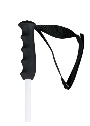 Kije narciarskie HEAD WORLDCUP REBELS CARBON