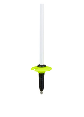 Kije narciarskie HEAD WORLDCUP REBELS CARBON