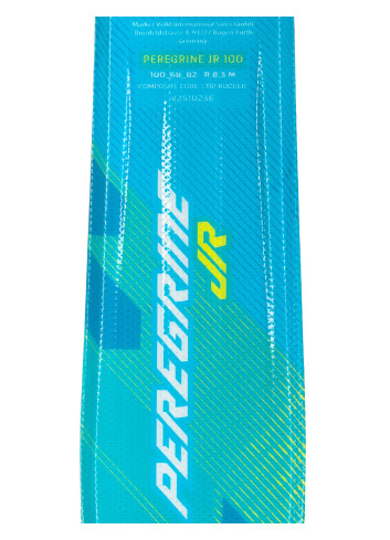 Narty dziecięce VÖLKL PEREGRINE JR + wiązania MARKER VMOTION 4.5 z GRIP WALK