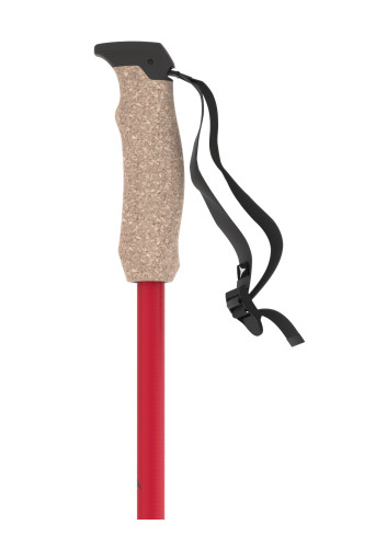 Kije narciarskie ATOMIC AMT CARBON red    2026