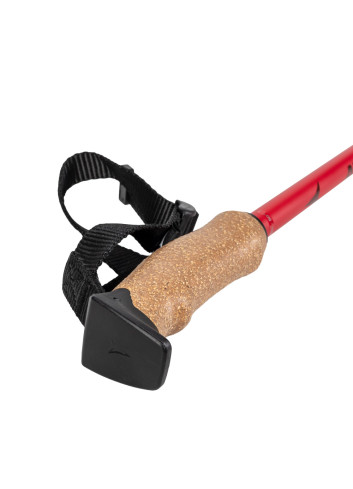 Kije narciarskie ATOMIC AMT CARBON red