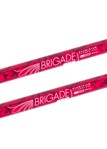 Kije narciarskie juniorskie SALOMON BRIGADE JR pink